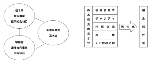 �O����̑g�D